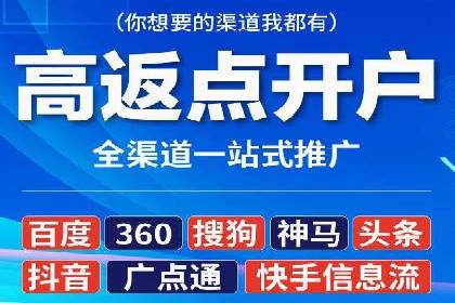 案例研究：信息流广告投放优化